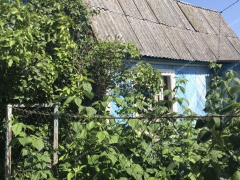 avtozavodskiy-rayon фото