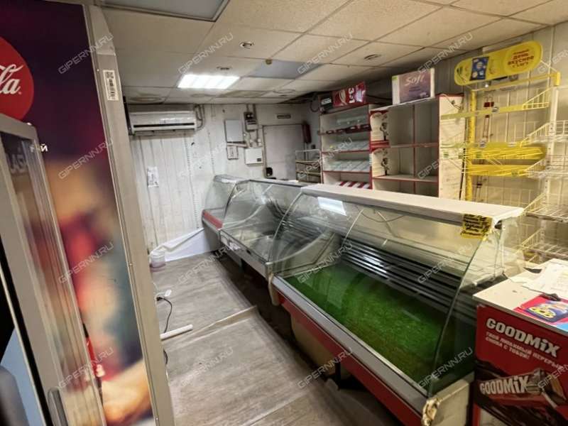 помещение под торговую площадь, недвижимость под общепит на Снежной улице