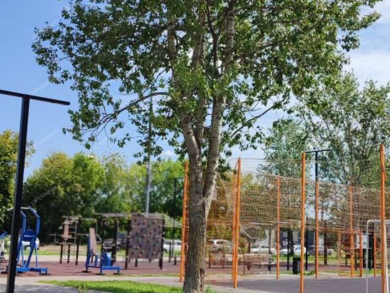 двухкомнатная квартира на улице Дружаева дом 1Б