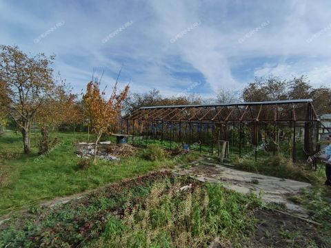 dacha-steklozavodec-ter-snt-gorodskoy-okrug-bor фото