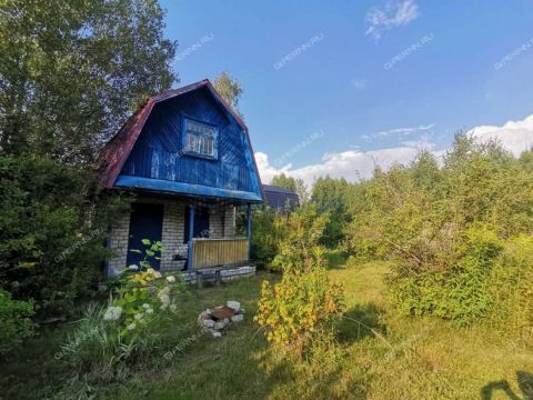 dacha-gorod-bor-gorodskoy-okrug-bor фото