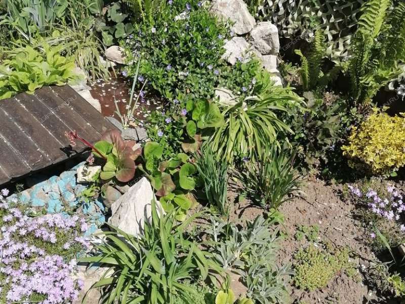 дача на с/т им Тимирязева Территория