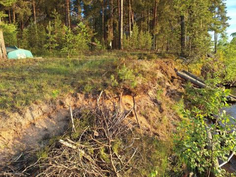 poselok-novaya-shomohta-sokolskiy-gorodskoy-okrug фото