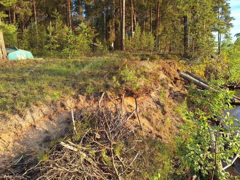 земельный участок под коммерческое использование в городском округе Сокольский Нижегородской области