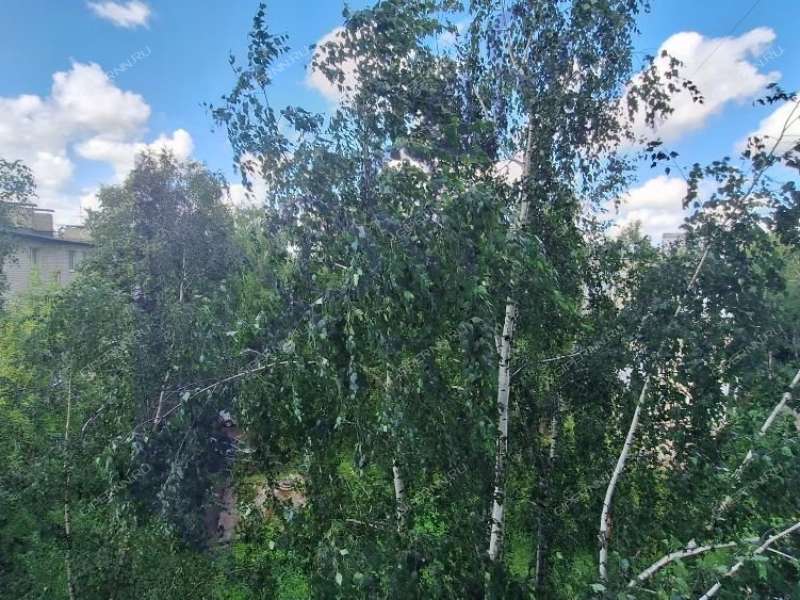 однокомнатная квартира на улице Премудрова дом 18 к1
