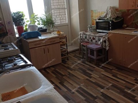 ul-yuliusa-fuchika-d-5 фото