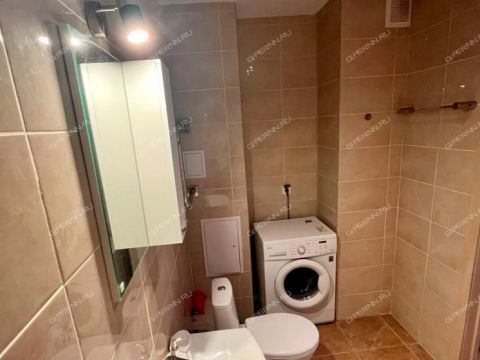 1-komnatnaya-derevnya-ankudinovka-kstovskiy-rayon фото