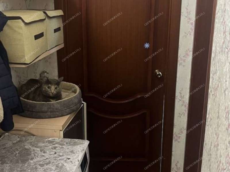 двухкомнатная квартира на Большевистской улице дом 6