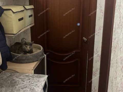 2-komnatnaya-ul-bolshevistskaya-d-6 фото