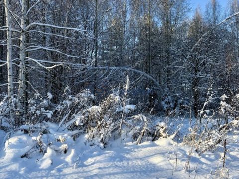 dom-gorod-kstovo-kstovskiy-rayon фото