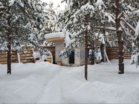 kottedzh-derevnya-ivanovskoe-krasnoslobodskiy-selsovet-gorodskoy-okrug-bor фото