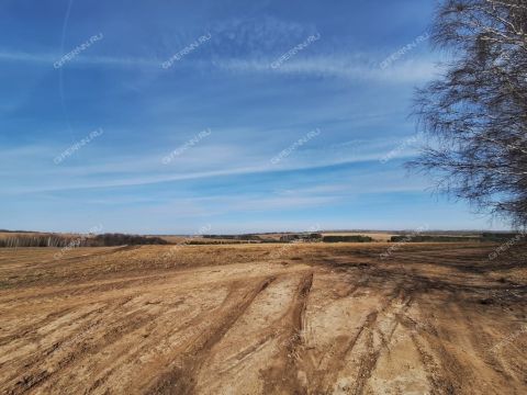 derevnya-ushakovo-bogorodskiy-municipalnyy-okrug фото