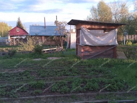lesnoe-ter-snt-gorodskoy-okrug-dzerzhinsk фото