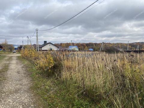 derevnya-shumilovo-bogorodskiy-municipalnyy-okrug фото