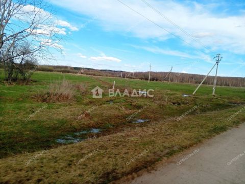 derevnya-inyutino-bogorodskiy-municipalnyy-okrug фото