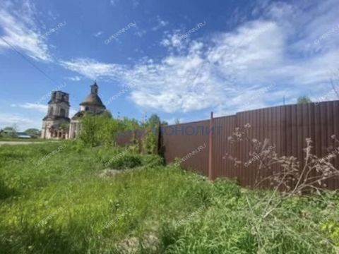 selo-revezen-perevozskiy-gorodskoy-okrug фото