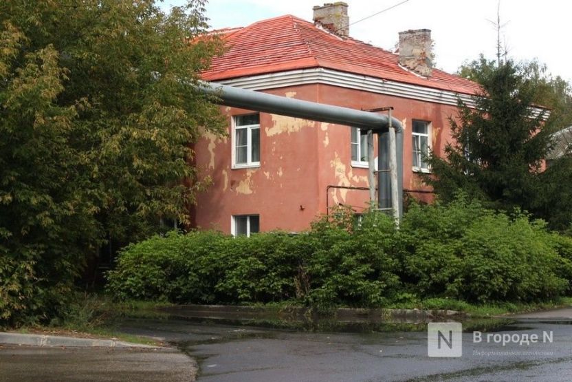 Фото: Анастасия Гореловская / vgoroden.ru