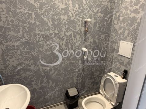 gorodskoy-okrug-nizhniy-novgorod-selskiy-poselok-novinki-snt-kolos-39 фото