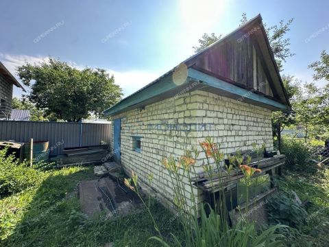 dacha фото