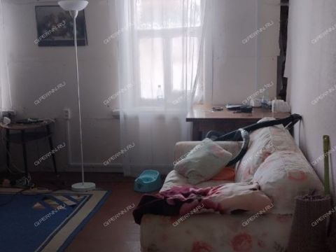 1-komnatnaya-derevnya-sysuevo-voskresenskiy-rayon фото