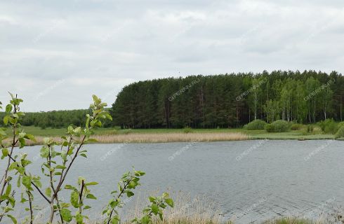 Инютинское озеро нижегородская область фото