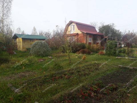 dacha-poselok-pri-stancii-osinki-semenovskiy-gorodskoy-okrug фото