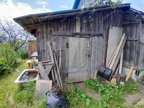 dom-derevnya-palcino-bogorodskiy-municipalnyy-okrug фото