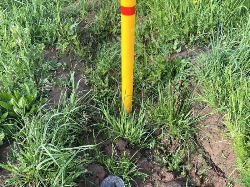 дом на Счастливой улице село Спирино