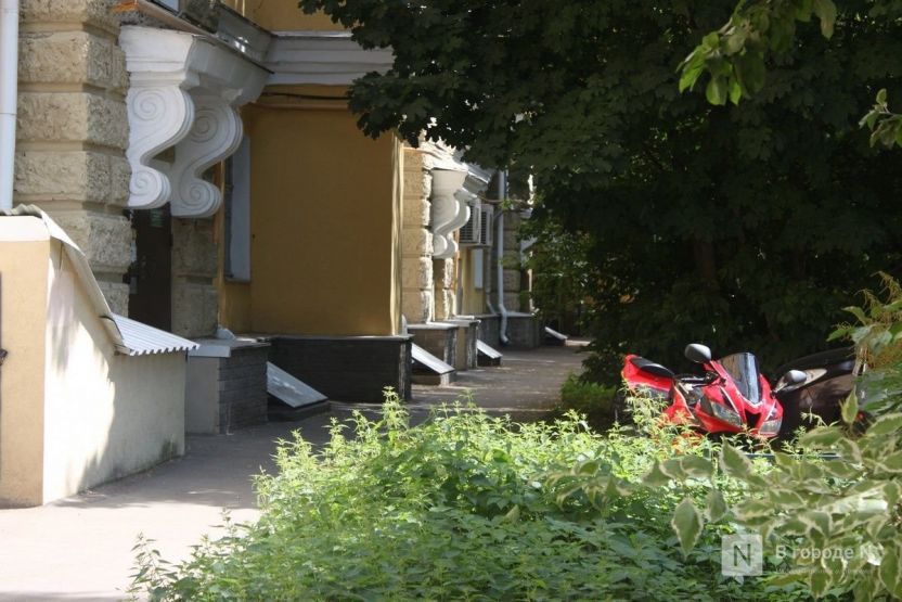 Фото: vgoroden.ru