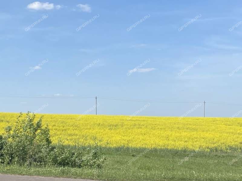 дом на улице Калинина село Большие Бакалды