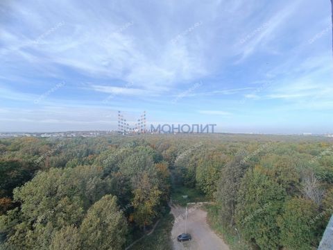 2-komnatnaya-sh-ankudinovskoe-d-34 фото