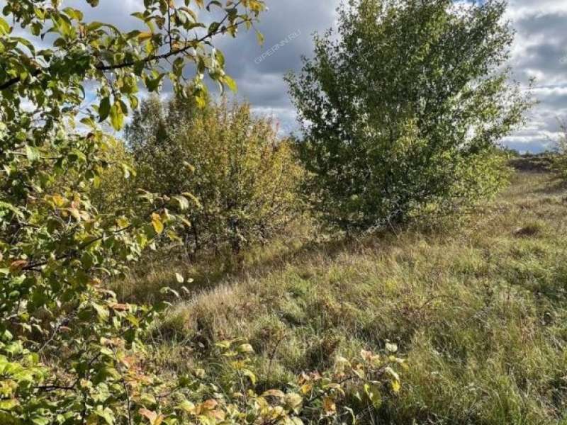 земельный участок 12,4 сотки Жемчужная улица город Кстово