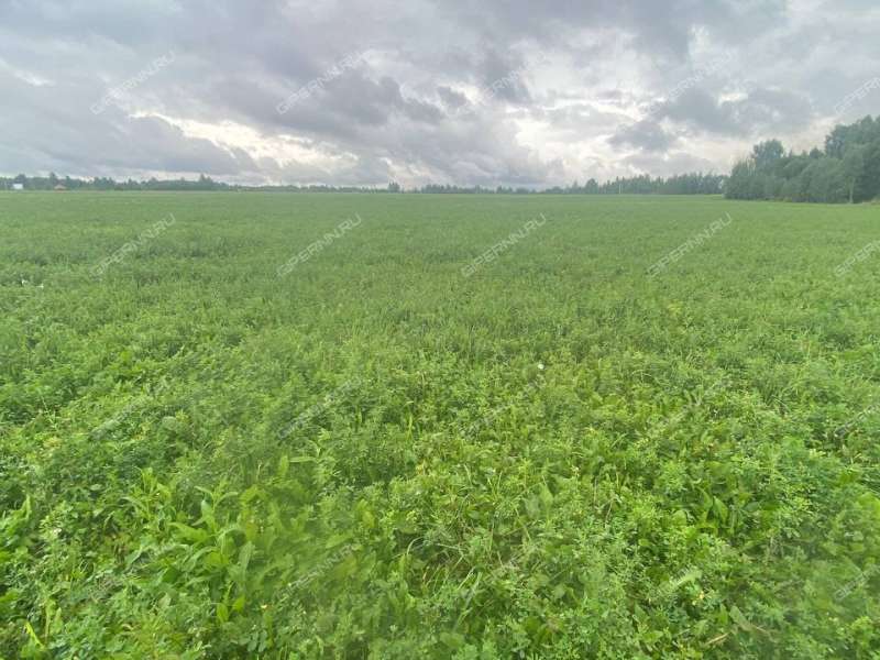 земельный участок под сельхоз назначение в Богородском районе Нижегородской области