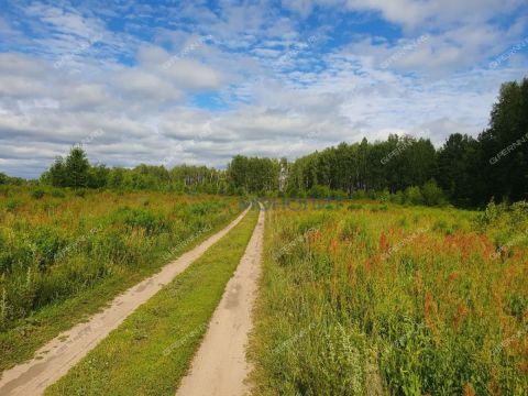 selo-ostankino-gorodskoy-okrug-bor фото