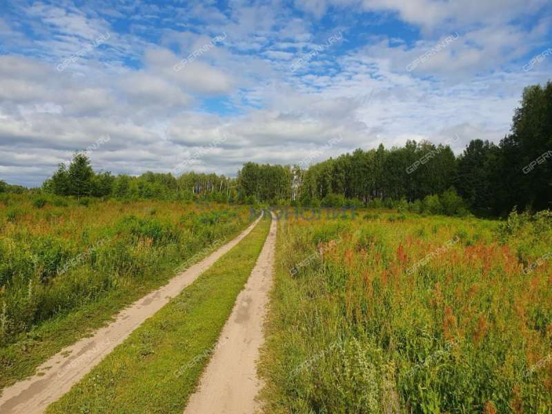 земельный участок под сельхоз назначение в городском округе Бор Нижегородской области
