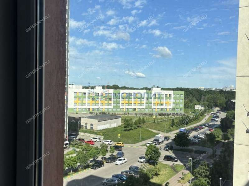 трёхкомнатная квартира на улице Академика Сахарова дом 109 к1