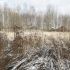 земельный участок 20 соток деревня Чуркино (Зиняковский сельсовет