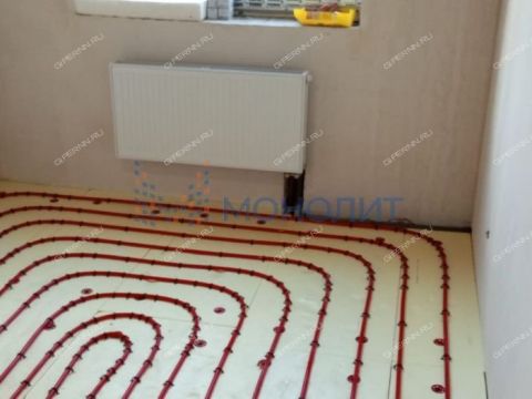 dom-derevnya-berezovka-bogorodskiy-municipalnyy-okrug фото