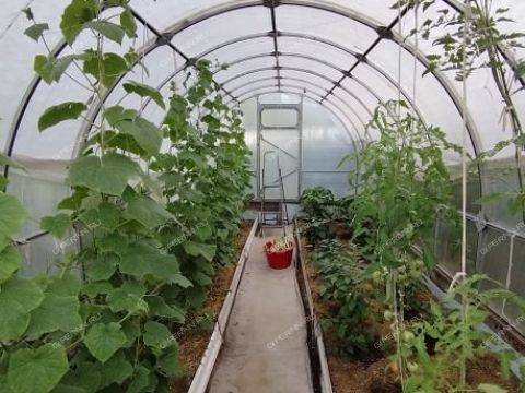 dacha-snt-nadezhda фото