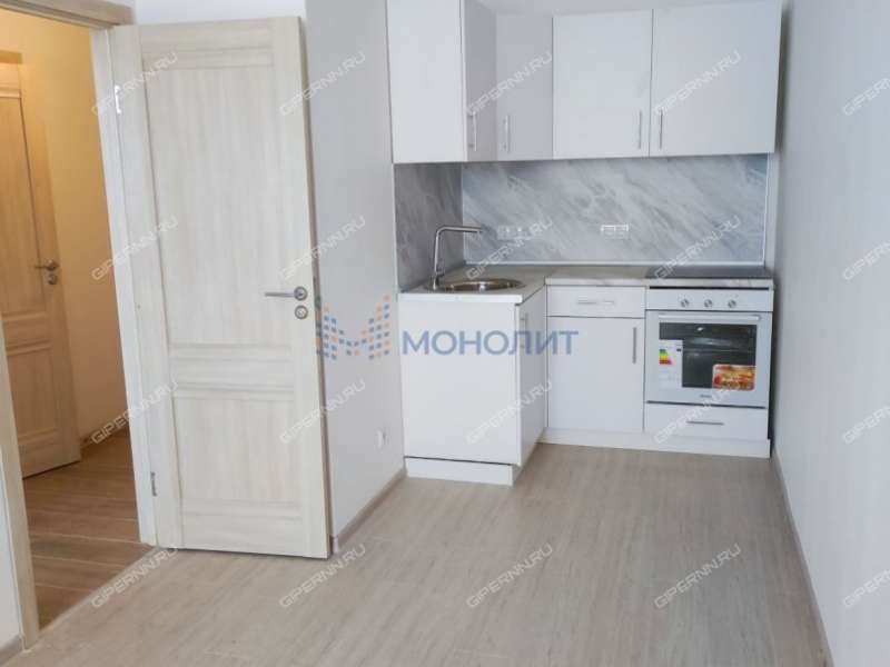 однокомнатная квартира на Черкесской улице дом 19 деревня Анкудиновка