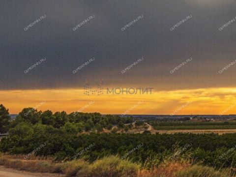 lileyniki-bogorodskiy-municipalnyy-okrug фото