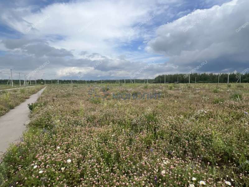 земельный участок 8 соток Краснослободская улица деревня Красная Слобода (Краснослободский сельсовет