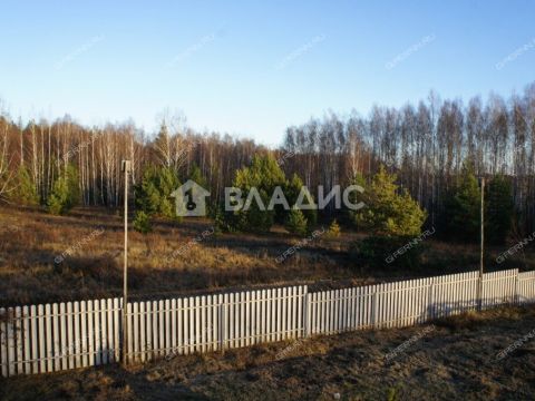 dom-derevnya-shhepachiha-pavlovskiy-municipalnyy-okrug фото