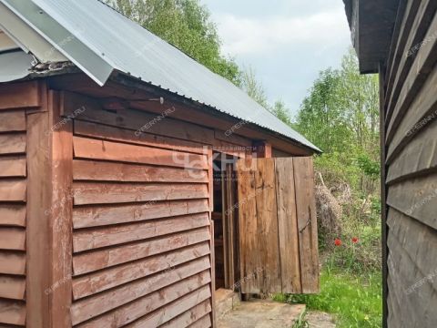 dacha-derevnya-mokeiha-gorodeckiy-rayon фото