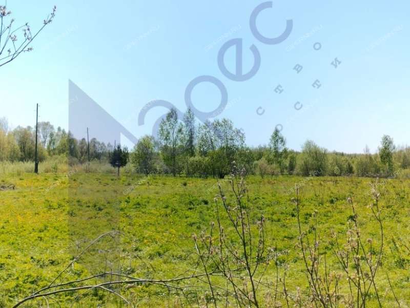 земельный участок под коммерческое использование в городском округе Сокольский Нижегородской области