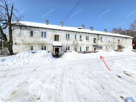 1-komnatnaya-selo-ostankino-gorodskoy-okrug-bor фото