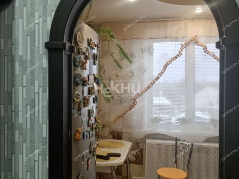 1-komnatnaya-gorod-zavolzhe-gorodeckiy-rayon фото