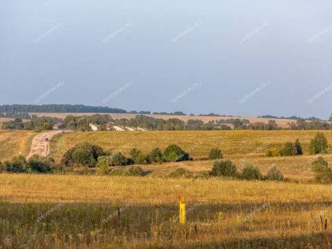 selo-svoboda-vadskiy-municipalnyy-okrug фото