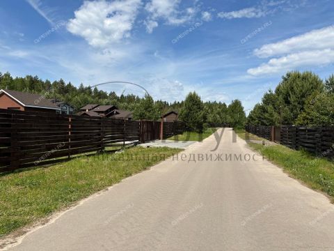 derevnya-olgino-dalnekonstantinovskiy-rayon фото