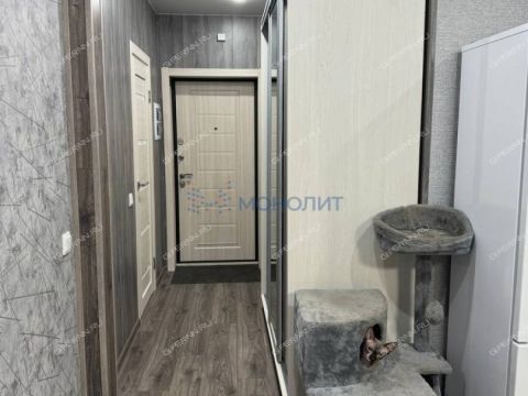 kvartira-studiya-derevnya-afonino-kstovskiy-rayon фото